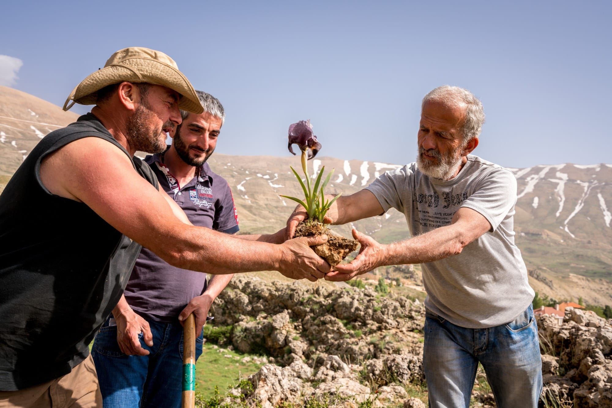 Saving the cedar iris