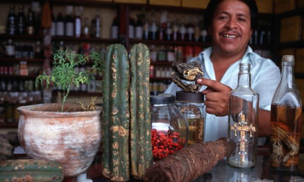 Ayahuasca anti-drogue