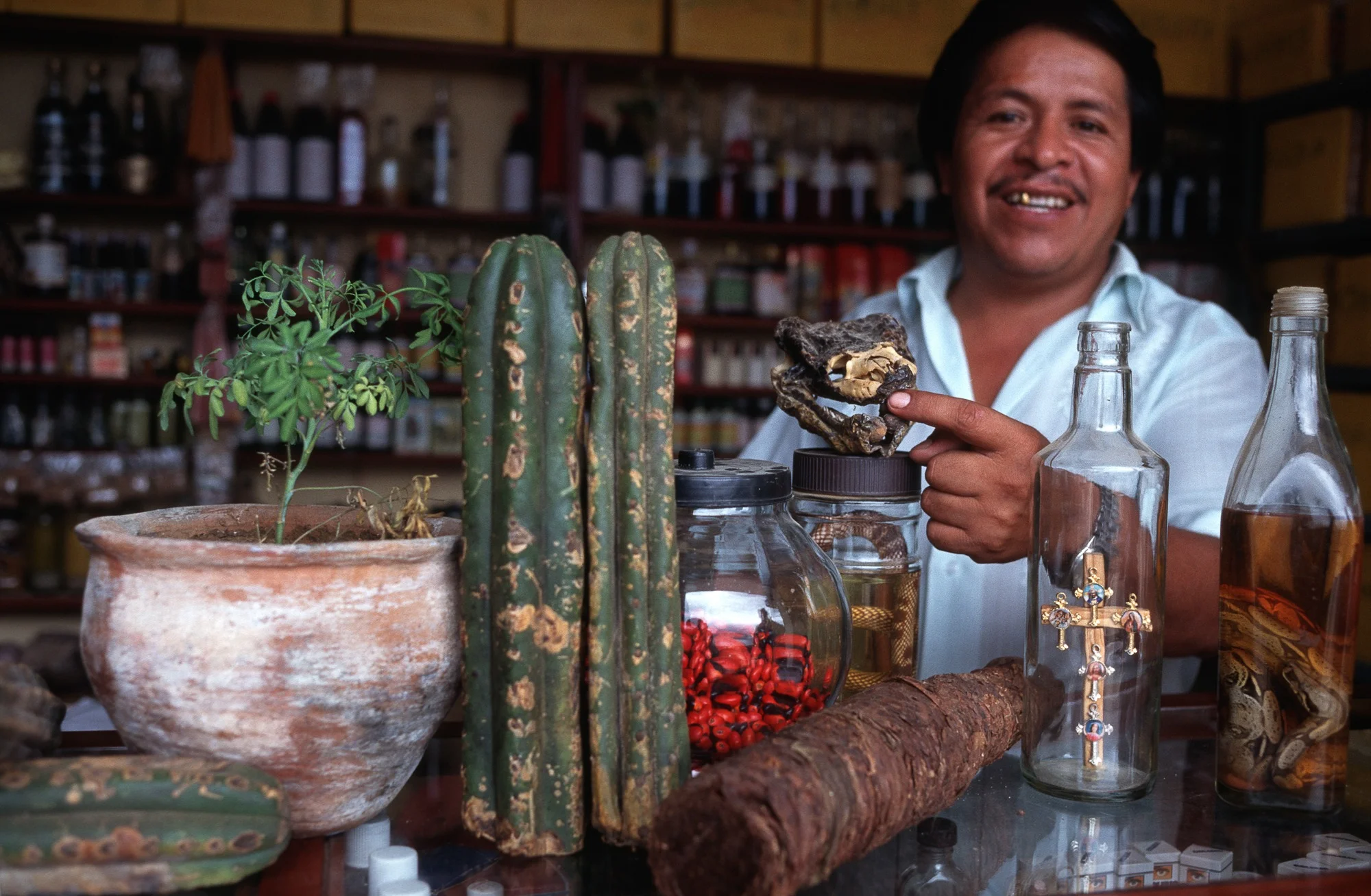 Ayahuasca anti-drogue