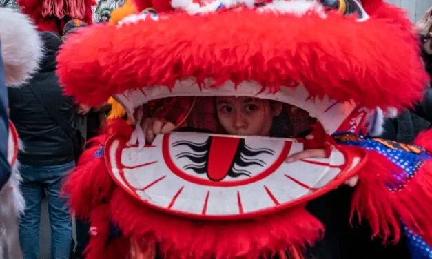 Lion rouge à la gueule ouverte