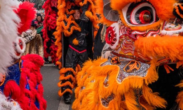 Orange lions in procession