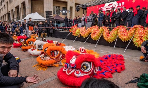 Lion heads on the ground before the officials