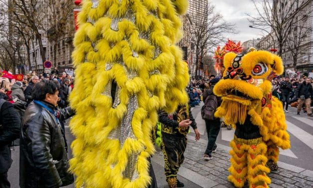 Two yellow lions