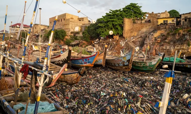 Pirogues &eacute;chou&eacute;es et pollution plastique, fort James