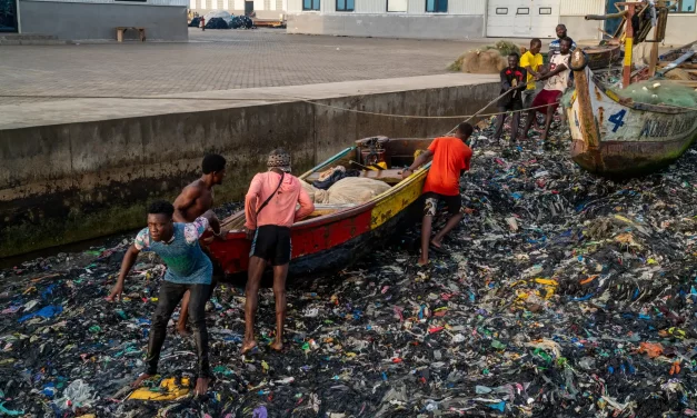 Haler une barque &agrave; travers les d&eacute;chets plastiques, port de Jamestown