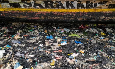 Jamestown’s plastic sea