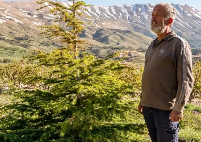 Le docteur Youssef Tawk et un jeune cèdre du Liban