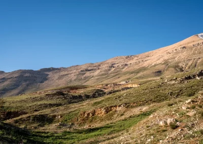 Le milieu naturel de l'iris