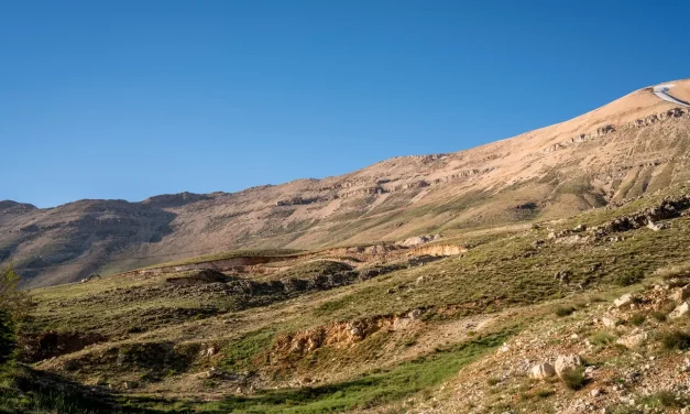 Le milieu naturel de l'iris Le milieu naturel de l'iris