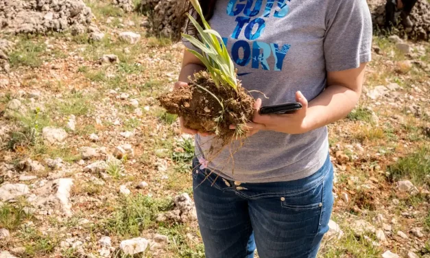 Une jeune volontaire et son iris des cèdres sauvé Une jeune volontaire et son iris des cèdres sauvé